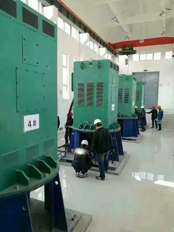 张家川某污水处理厂使用我厂的立式高压电机安装现场